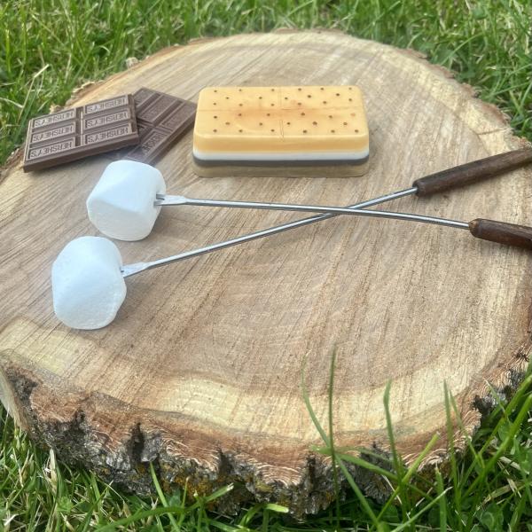 the s'mores bar