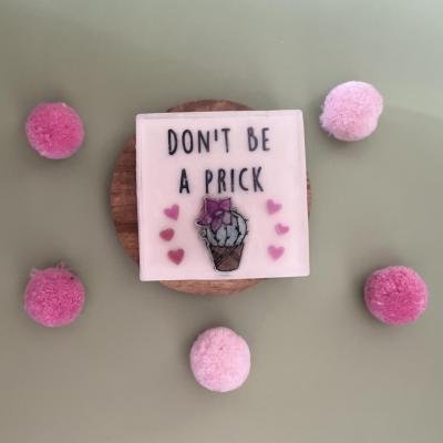 Don’t be a prick cactus succulent novelty gift handmade soap bar